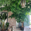 O-X592 Wholesale High Simulation Banyan Tree Leaves Artificial Hanging Plant Garden Shop Decorations Large Artificial Wall Plant