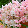 Silk Handcrafted Artificial Flowers Pink White Yellow Purple Wedding Centerpiece Arch Cherry Blossoms Wall