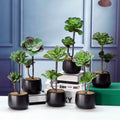 New Mini  Artificial Succulent Plants Gem Lotus Plant for  Home Decoration