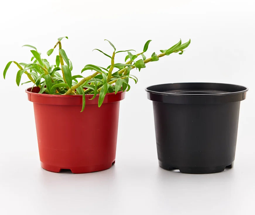 Large Small Double Color Nursery Plant Pots Black Plastic Grow 1-20 Gallon Greenhouse Garden Nursery Seed Plants ISO9001