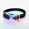 Polyester Glow in Night Pet Supplies Custom Adjustable Luxury Luminous Light up Led Cat Dog Collars