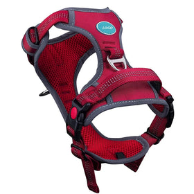 No Pull Reversible Adjustable Reflective Nylon Custom Dog Harness Set SummerHarness and Leash Set for Big Dogs