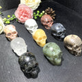 Wholesale Natural Crystals New Arrived High Quatly Mixed Skulls for Gift Home Decoration