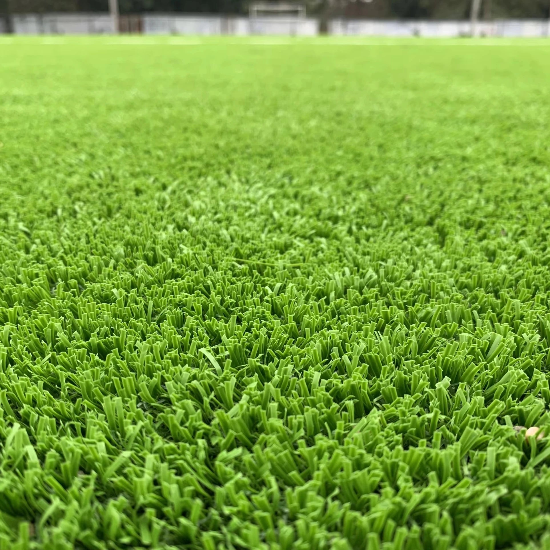 Popular Non-Infill Synthetic Sports Turf
