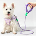 High-quality Soft Foam Padded Handle Pet Nylon Traction Rope and Leather Lock No Pull Dog Training Leash