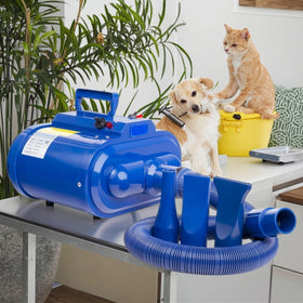 2 Motor Pet Hair Dryer for Animals Dog Pet Grooming Machine for Hair Fur Cleaning Professional Dog Cat Dryer
