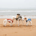 Adjustable Ice Silk Dogs Cats Cooling Vest Protection Summer Cooling Dog Clothes for Hot Weather