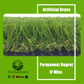 Decoration Customized Sizes Artificial Grass Turf 2M*25M for Landscaping