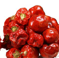 Natural Dried Whole Red Color Middle Hot Pimento Peppers for Spice