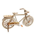 Hot Selling DIY Wooden Bicycle Model Steam Educational Toys Science Experiment Kits
