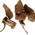 Gang Mei Gen Dried Natural Ilex Asprella Roots Roughhaired Holly Root Rough-leaved Holly Radix for Sale