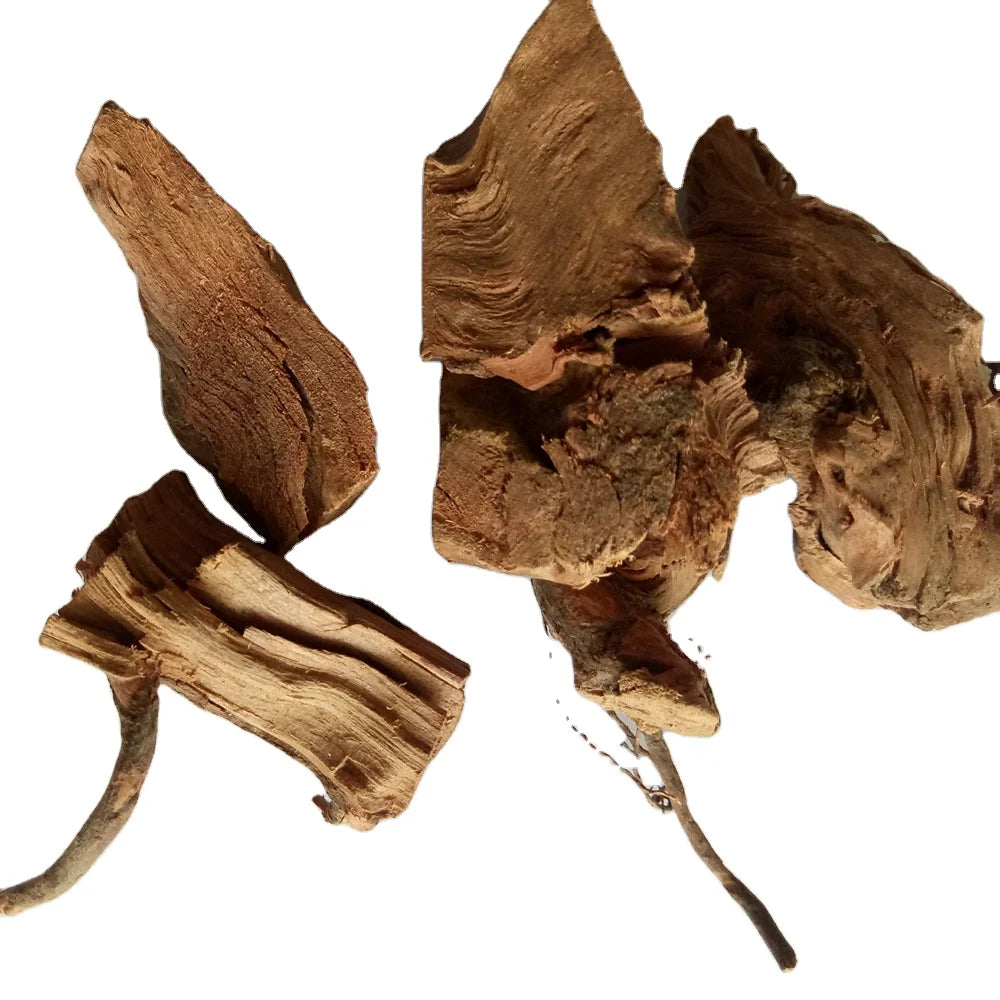 Gang Mei Gen Dried Natural Ilex Asprella Roots Roughhaired Holly Root Rough-leaved Holly Radix for Sale