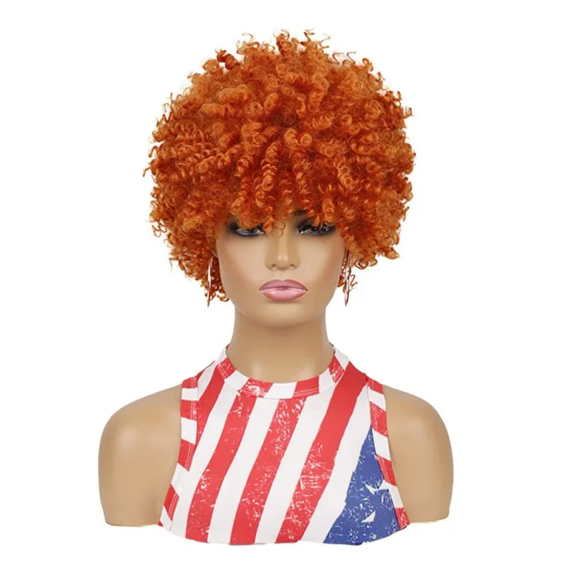 Afro Hair Wigs Black Women Short Spring Curly Hair Synthetic Wigs Fluffy African American Natural Black Hair