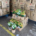 Small Artificial Potted Flowers Plants Mini Artificial Faux Plants With Flowers for Home Room Farmhouse Bathroom Decor Indoor