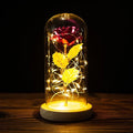 Artificial Flowers Rose in Glass Dome 24K Gold Rose Light String Glass Rose for Women Mom Valentines Day Mothers Day