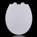 New Round Design Poland WC Toilet Lid Cover with Soft Close Toilet Seat