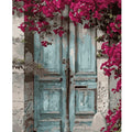 Diy Painting by Numbers for Adults Kits Door Picture by Numbers Starter Kit for Diy Gift 40x50cm/16x20inch Without Frame