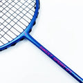 Dmantis China Manufacturer Factory Supply Carbon Badminton Racket 5U Elastic & Durable Professional Racket for Player