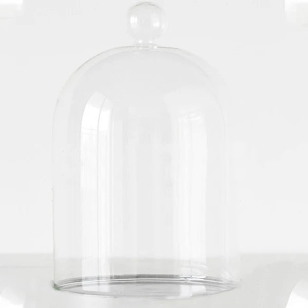 Transparent Oval Bell Jar Cloche Borosilicate Glass Dome for Table Decoration