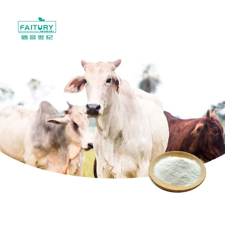 Wholesale Bovine Bone Collagen Peptide Powder Bovine Collagen Powder