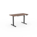 Wholesale Lift Table  Gaming Adjustable Desk Adjustable Electric Desk with Drawer