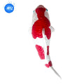 Mini Koi Fish Model for Indoor/Outdoor Factory Price Modern Luxury  Aquarium Classic Marine Animal for Bathrooms Living