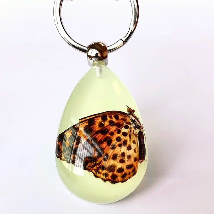 Big Size Real Butterfly Keychain Acrylic Resin Key Ring Amber Glow Keychain