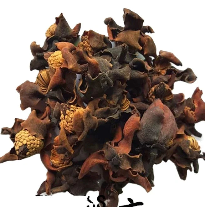 Natural Scented Fragrant Magnolia Blosoom Whole Dried Magnolia Coconis Flowers for Sale