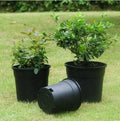 1.5 Gallon Pot Black Gallon Pot Side Leakage of Water Black Nursery Pot
