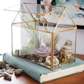 Gold Black House Shaped Glass Box Flower Pots Planters Succulents Geometric Terrarium Glass Wholesale Container