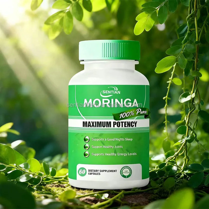 Wholesale Pure Moringa Leaf Tea Moringa Powder Capsule Moringa Leaf Plant Extract