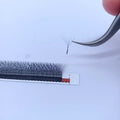 Qingdao Eyelash Extensions Supplies Private Label w 5d Eyelash Technology Fibers Cilia W5d for Eyelashes