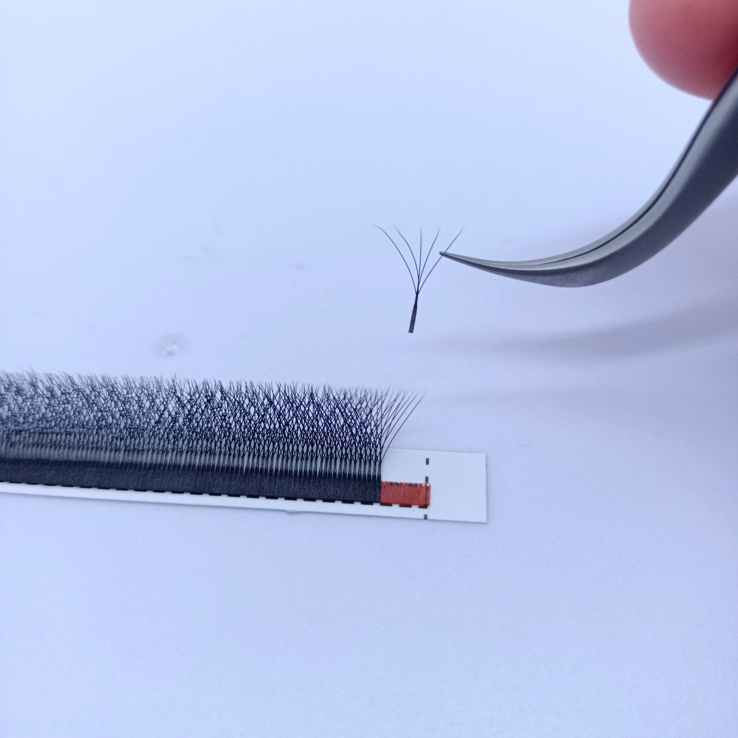 Qingdao Eyelash Extensions Supplies Private Label w 5d Eyelash Technology Fibers Cilia W5d for Eyelashes