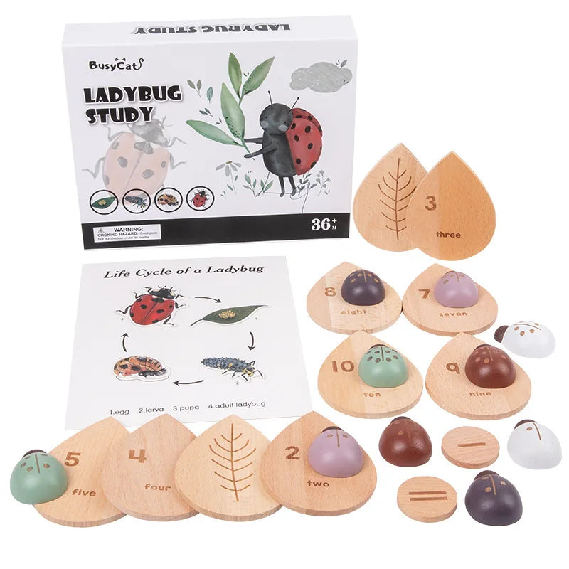 2022 Montessori Kids Math Toys Beach Wooden Counting Ladybugs Puzzle Numbers Matching Game Develop Kids Learning Toy