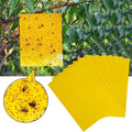 Waterproof Fruit Fly Trap with Adhesive Double-sided Yellow/Blue Thrips/Aphids/White Fly Sticker with 0.23 mm of Thickmess