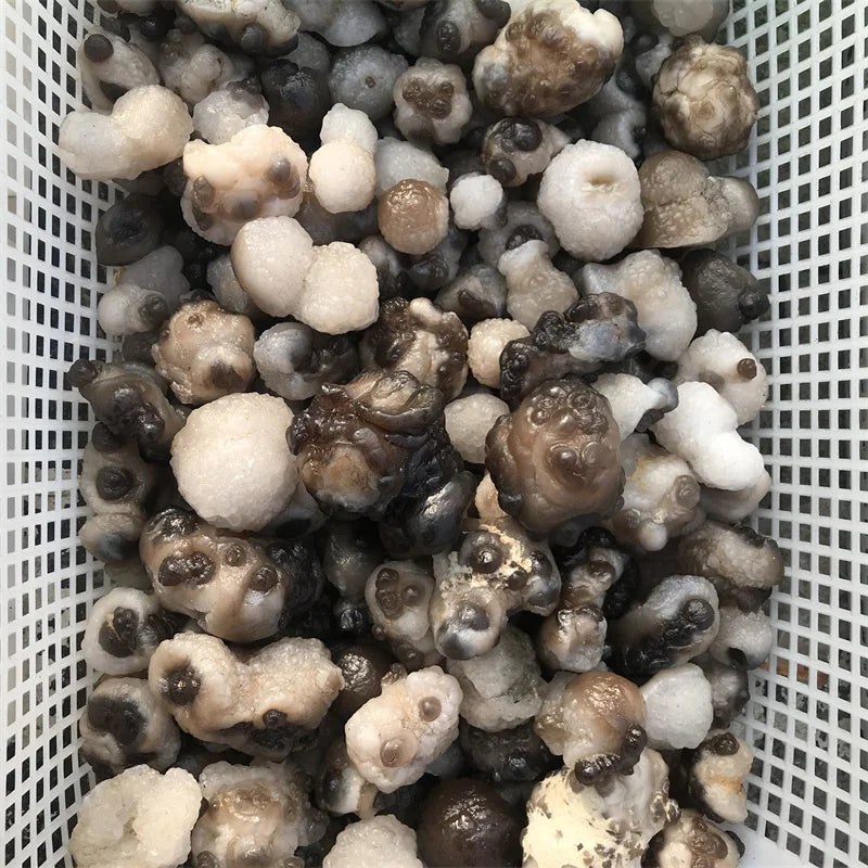 Wholesale Natural Raw Panda Agate Mineral Specimen Pictographic Agate Stone for Room Decoration Collection MegaBDM