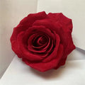 Hot Selling C-1220 Silk Artificial Rose Head Flower for Home Wedding Decoration
