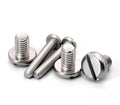 M5 M6 M8 M10 304 Stainless Steel Slotted Round Pan Head Bolts Screws