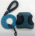 Solid Pattern Dog Harness Set Reflective Leash Fashion Pet Gear Personalization Available XS S M L XL XXS Made Polyester MegaBDM