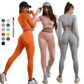 2pcs Seamless Hot Selling Gym Sports Wear Running Breathable Knitted Tight Yoga Wear Long Sleeve Suit Set Full 1 Piece Mid S-M-L