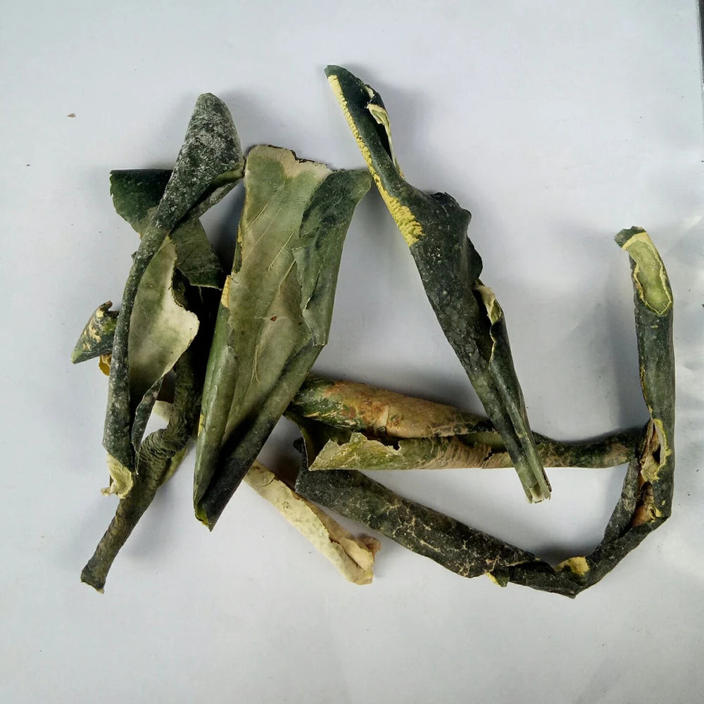 Dong Gua Pi New Peeled Dried Chinese Waxgourd Peel Benincasa Hispida Skin for Sale