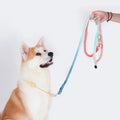 New Design Hand Woven Cotton Rope Rainbow Braided Durable Comfortable Candy Pet Collar for Dogs