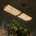 KingBrite Led 2x4 Tent 240W Samsung LM301H Mix (660nm+730nm)+LG UV IR Indoor IP65 Waterproof Grow Light Led Plant Light