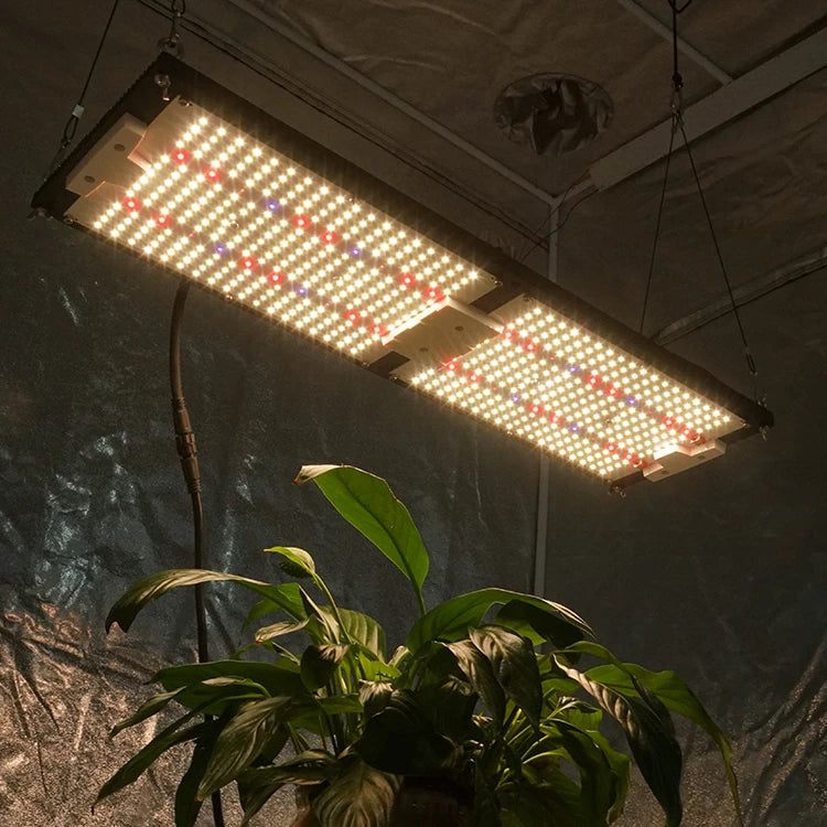 KingBrite Led 2x4 Tent 240W Samsung LM301H Mix (660nm+730nm)+LG UV IR Indoor IP65 Waterproof Grow Light Led Plant Light
