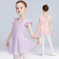 Ballet Leotards for Girls Ballet Dress Toddler Flutter Sleeve Dance Leotards With Skirt
