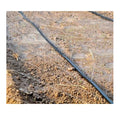 Multifunctional Pe Hose Plastic Ribbon Micro Rain Spray Tape Vegetable and Grass for Public Park