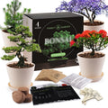 Starter Set Beginners Gardening Growth Indoor Flower Growing Eco-Friendly Modern Creative Flower Pot Home Birthday Gift Box