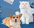 Luxury Cat & Dog Hair Grooming Wipes Gloves Stocked Pet Grooming Washing Gloves