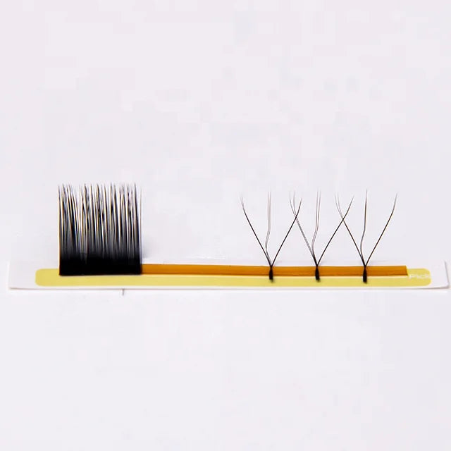 Wholesale W-6D Lash Extensions Supply W Lash Best Quality Eyelash W for Salon Beauty
