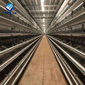 Poultry Egg Layer Chicken Cagebattery Cages Laying Hens in Philippines